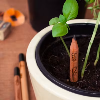 Wood Sprout Pencil - alternate view