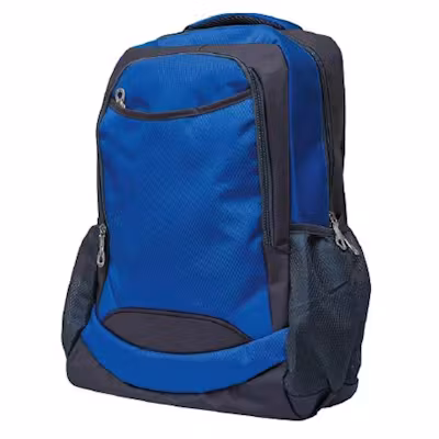 Vanguard Backpack - alternate view