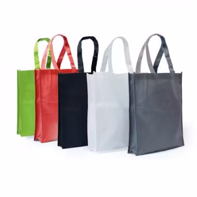Non-Woven Portrait Bag
