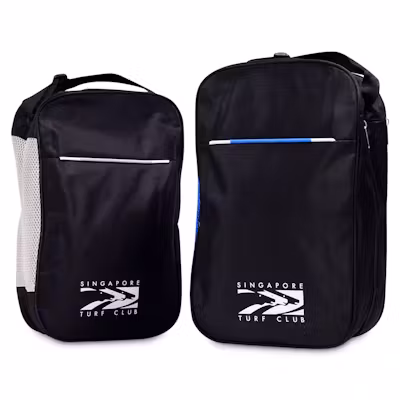 Classic Shoe Bag with Adjustable Handle