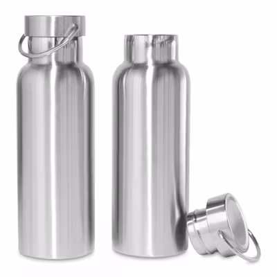 Alpine Stainless Steel Insulated Drinking Bottle