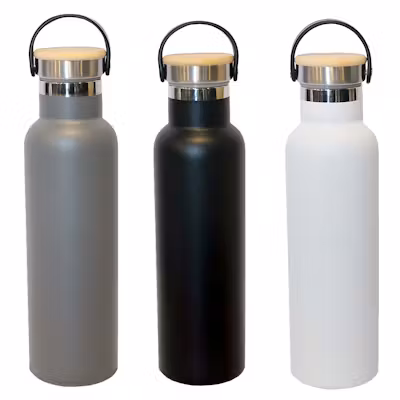 Auro Stainless Steel Bottle - 600ml