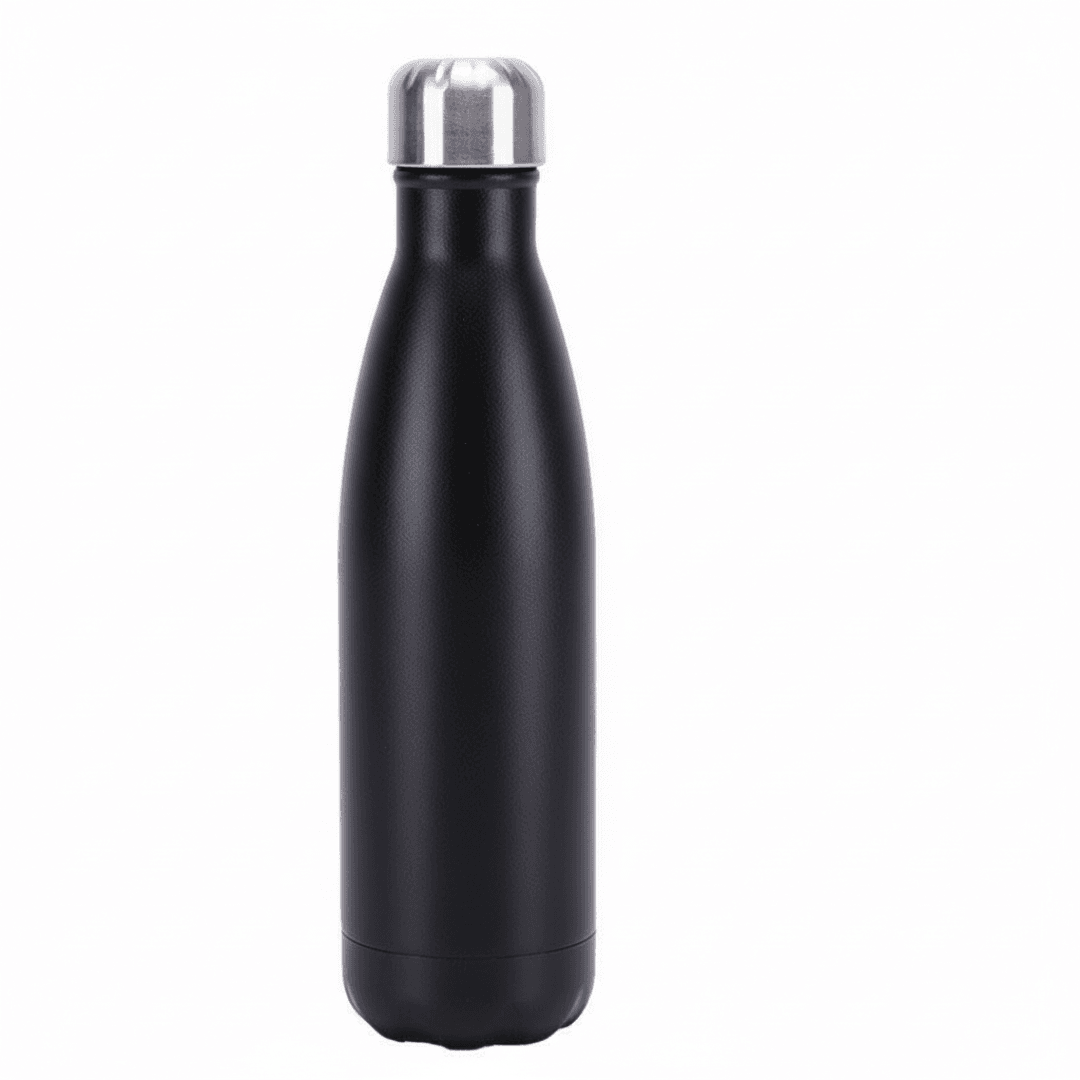Insulated Stainless Steel Vacuum Bottle